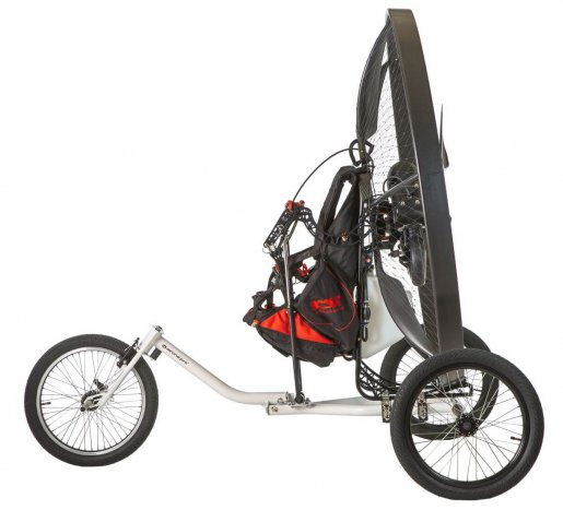 pro trike