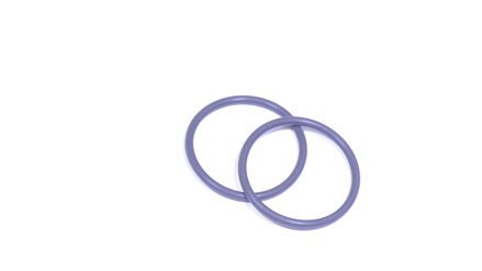 O-ring viton 2,62 x 31,42 mm (Set of 2)    (AT173)