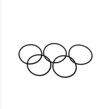 O-ring viton O 33,05 x 1,78 mm (Set of 5)