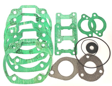 Complete series of gaskets and O-ring
