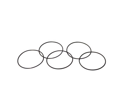 O-ring viton O 35,00 x 1,00 mm (Set of 5) (MFR091a.5)