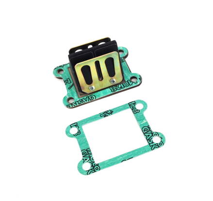 Reed valve complete with Gaskets (External pulse circuit) M081