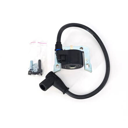 Electronic ignition coil with Spark-plug cap and Bolts (AT031)