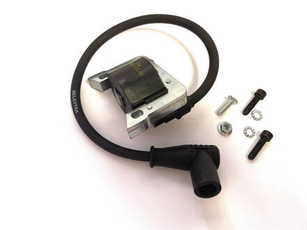 Electronic ignition coil with Spark-plug cap and Bolts