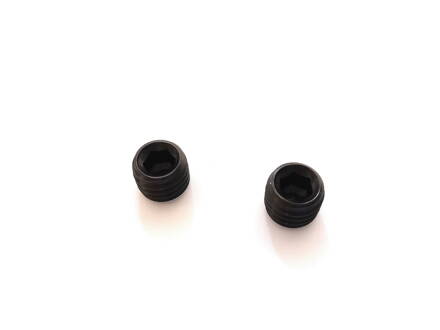 TBDL Screw 10 x 1.5 mm (Set of 2)   (F130)