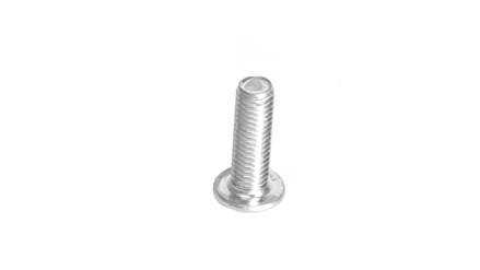 Bolt 5 x 16 mm Tbei DIN 7380 