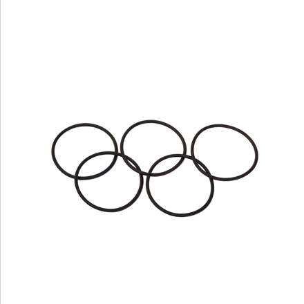 O-ring viton O 33,05 x 1,78 mm (Set of 5)