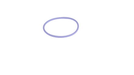 O-ring viton O 33,05 x 1,78 mm (Set of 5)