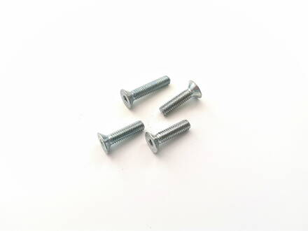 Bolt 4 x 16 mm Tsei DIN 7991 (Set of 4)