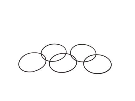 O-ring viton O 35,00 x 1,00 mm (Set of 5) (MFR091a.5)